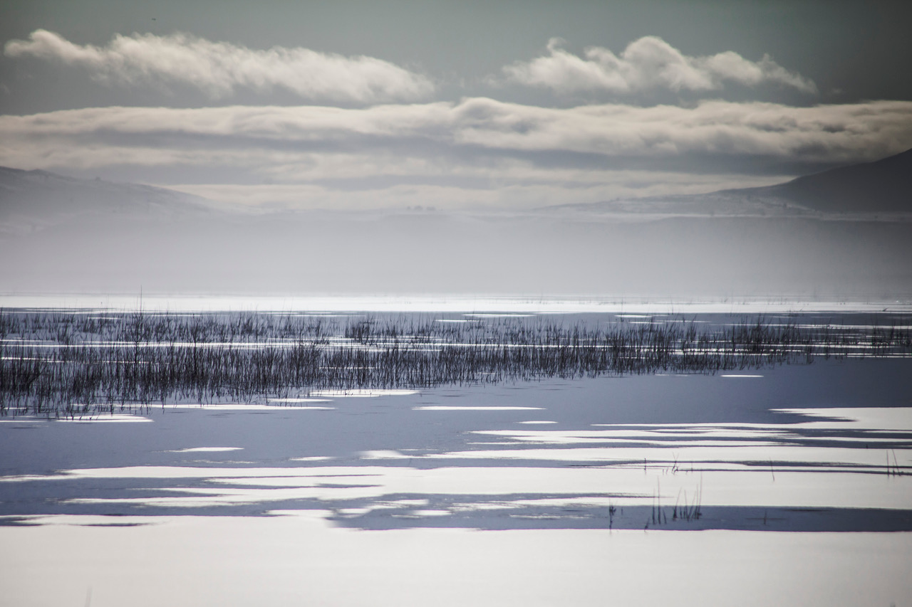 Jim Moorehead: Tulelake Winter